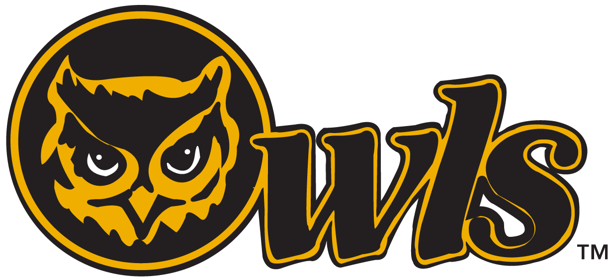 Kennesaw State Owls 0-2011 Secondary Logo v2 diy DTF decal sticker